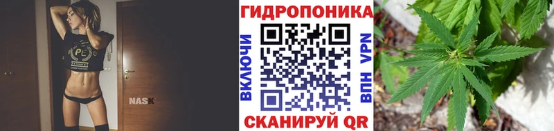 Купить наркоту Кандалакша Бошки Шишки ГАШ
