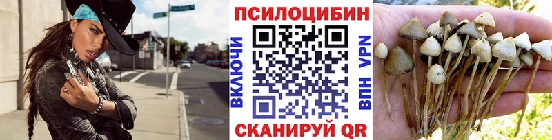 Галлюциногенные грибы ЛСД  omg онион  Кандалакша 