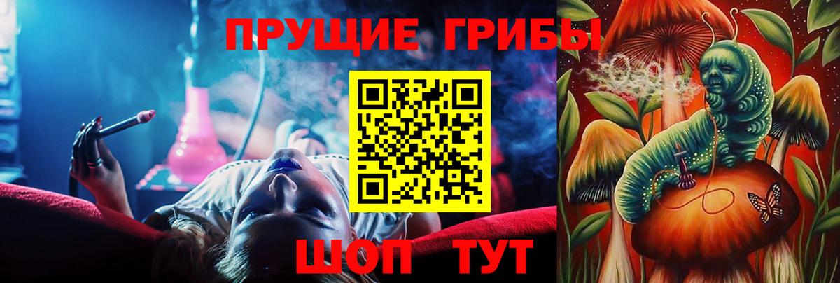 Псилоцибиновые грибы мицелий Кандалакша