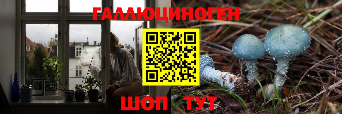Галлюциногенные грибы Psilocybine cubensis  Вход с VPN  Псилоцибиновые грибы GOLDEN TEACHER  Кандалакша 